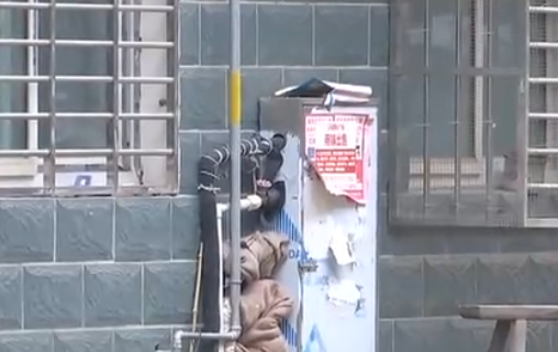 自來水管道保溫電伴熱帶，冬季管道防凍新寵(圖2)